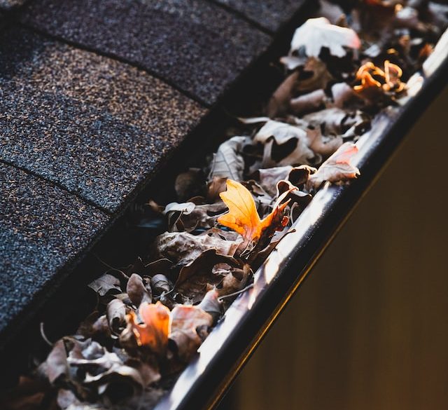 The Importance of Regular Gutter Cleaning: How it Can Save You Thousands in Repairs￼